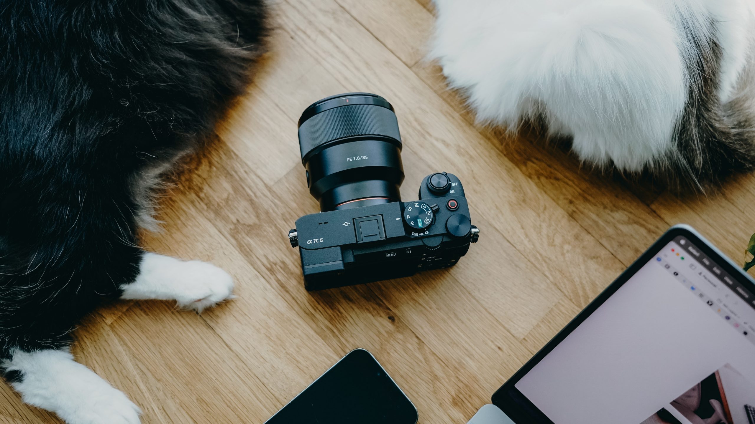 Editing Photos With RNI Films