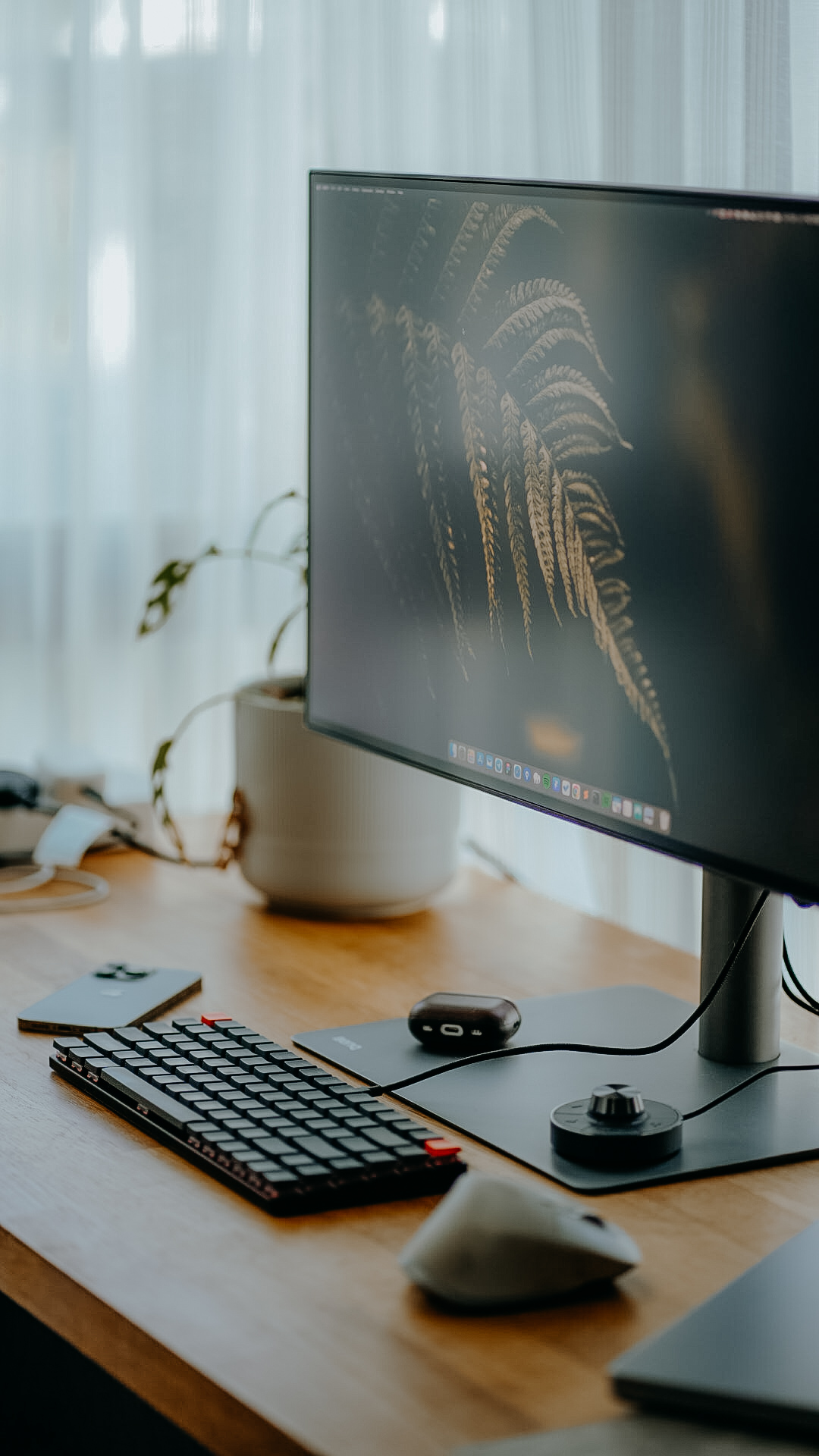 Home Office Setup (2024)